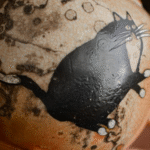 cermaic-tea-pot-cat-tea-pots-with-strainers_ring01